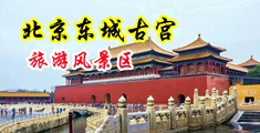内射视频软件中国北京-东城古宫旅游风景区